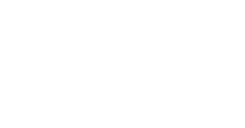 Museum Arts